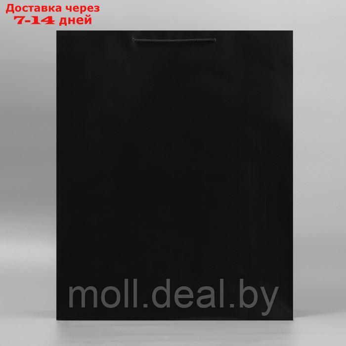 Пакет подарочный ламинированный, упаковка, "Чёрный", 40 х 49 х 15 см - фото 2 - id-p226885489