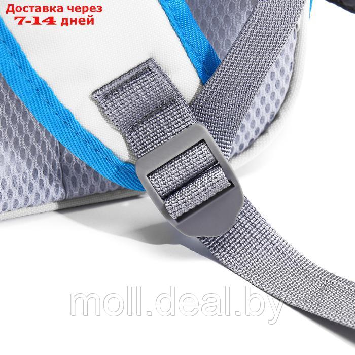 Рюкзак-переноска для животных, 30 х 40 х 25 см, серый/голубой - фото 2 - id-p226888381