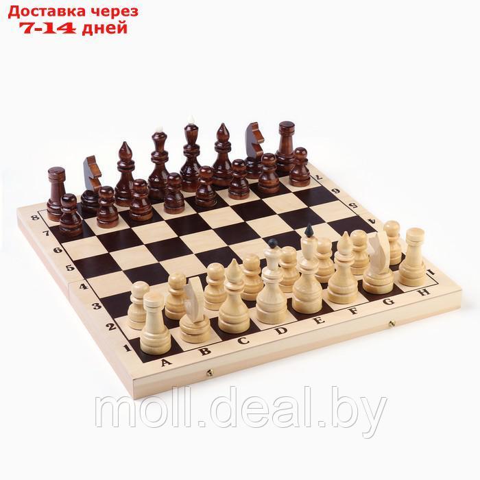 Шахматы гроссмейстерские, турнирные, утяжелённые, 40х40 см, король h=10.5 см, пешка 5.3 см - фото 3 - id-p227082640