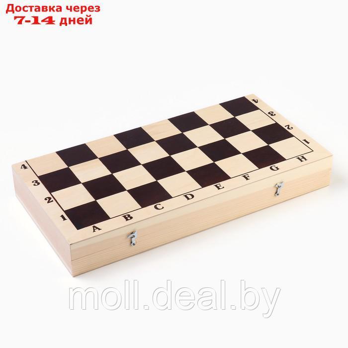 Шахматы гроссмейстерские, турнирные, утяжелённые, 40х40 см, король h=10.5 см, пешка 5.3 см - фото 6 - id-p227082640