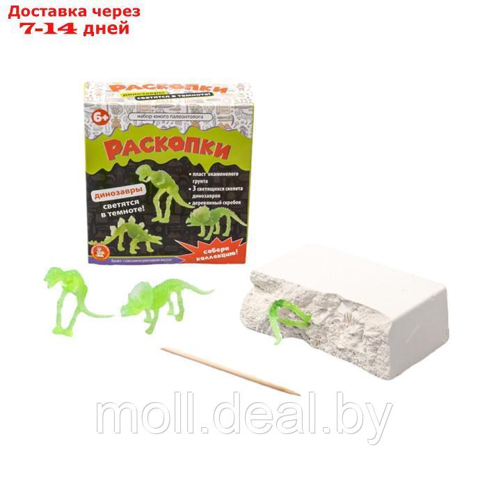 Настольная игра "Раскопки. Набор юного палеонтолога", 5 динозавров - фото 3 - id-p227082645