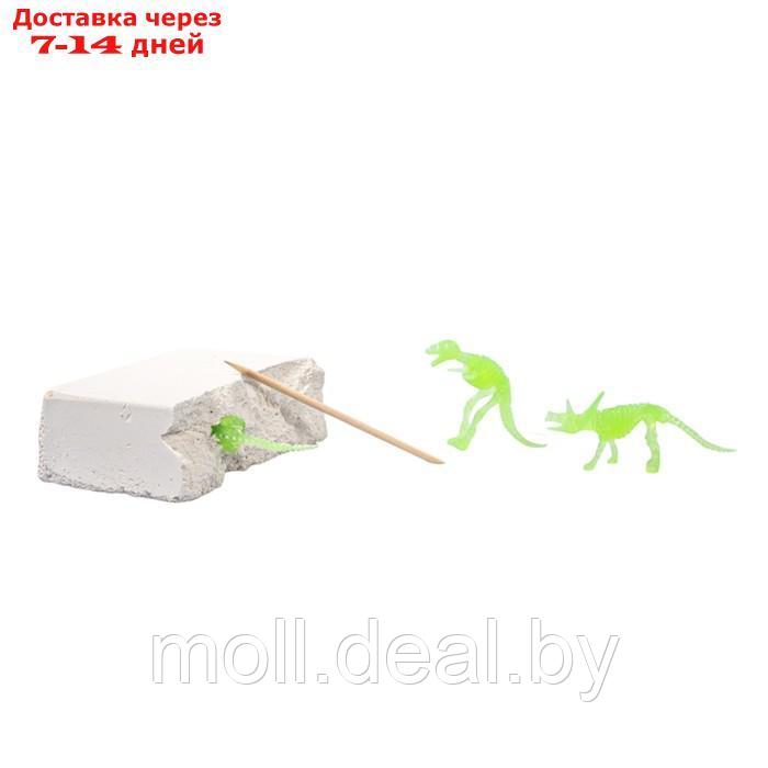 Настольная игра "Раскопки. Набор юного палеонтолога", 5 динозавров - фото 5 - id-p227082645