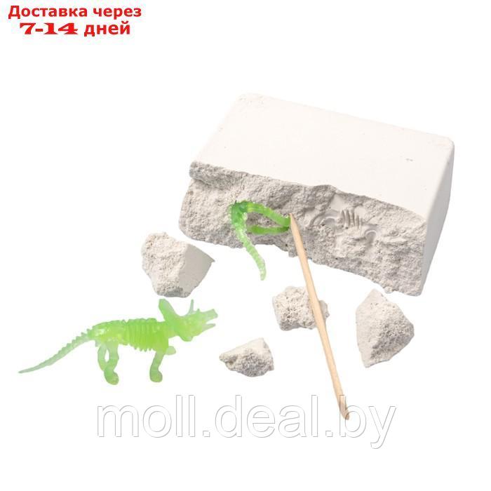 Настольная игра "Раскопки. Набор юного палеонтолога", 5 динозавров - фото 6 - id-p227082645