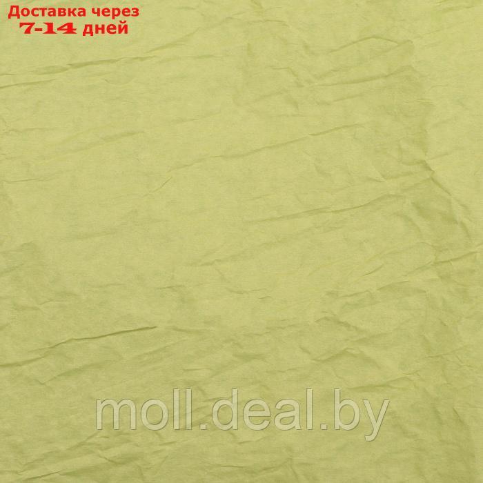 Бумага упаковочная "Эколюкс двухцветная", МИКС салатовый-желтый пастель, 0,68 x 5 м - фото 9 - id-p226885499
