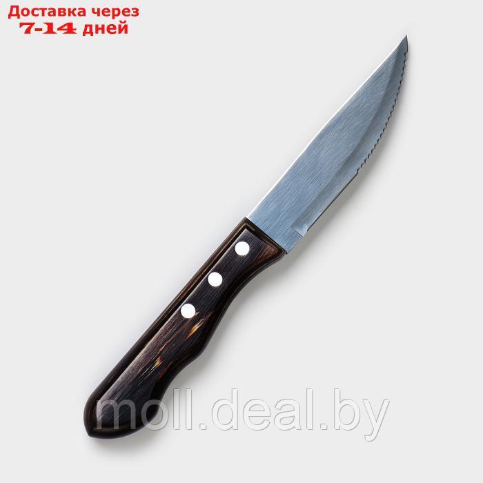 Нож кухонный для мяса TRAMONTINA Polywood Jumbo, лезвие 12,5 см - фото 1 - id-p227076691