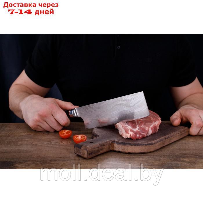 Нож топорик Magistro "Ортего", длина лезвия 18 см, дамасская сталь AUS-10 - фото 10 - id-p227076692