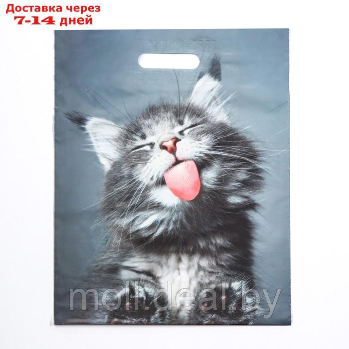 Пакет "Кот", полиэтиленовый с вырубной ручкой, 30х40 см, 50 мкм набор 10 штук - фото 1 - id-p227093630