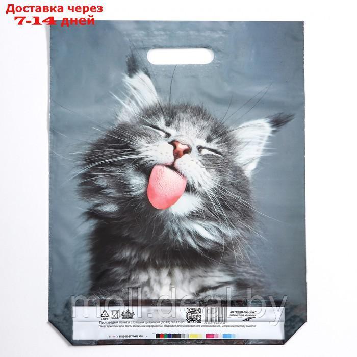 Пакет "Кот", полиэтиленовый с вырубной ручкой, 30х40 см, 50 мкм набор 10 штук - фото 2 - id-p227093630