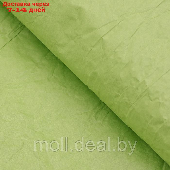Бумага упаковочная "Эколюкс", МИКС салатовый, 0,67 x 5 м - фото 3 - id-p226885512