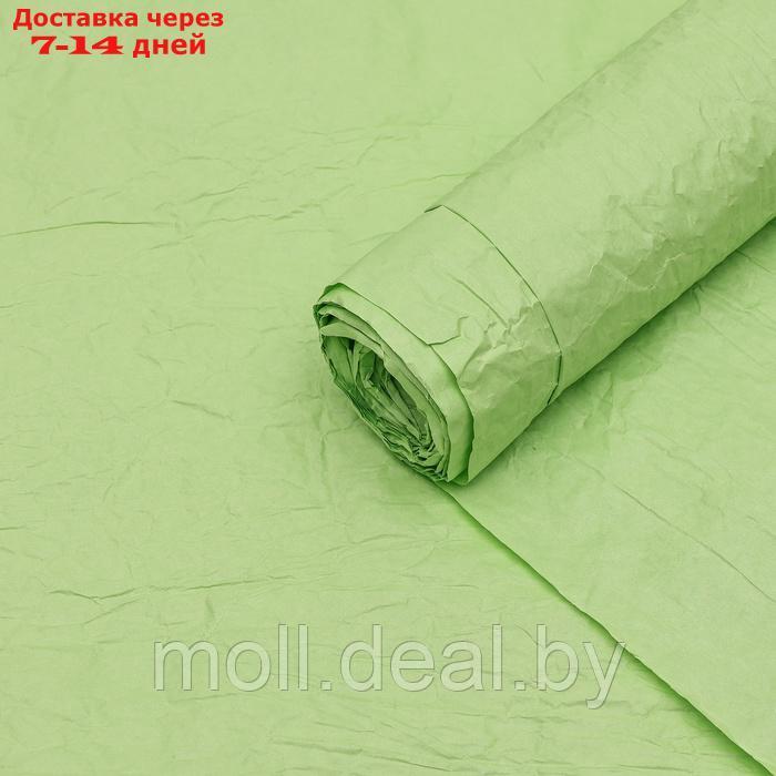 Бумага упаковочная "Эколюкс", МИКС салатовый, 0,67 x 5 м - фото 5 - id-p226885512