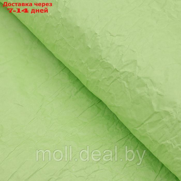 Бумага упаковочная "Эколюкс", МИКС салатовый, 0,67 x 5 м - фото 6 - id-p226885512