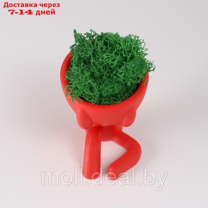 Кашпо бетонное мини "Мистер Грин" Мидзару со мхом красный 5,5х6,5х6,5 см (мох зелен стабил) - фото 5 - id-p227088628