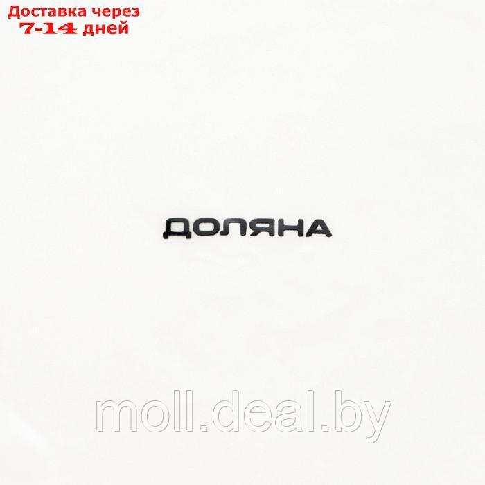 Тарелка фарфоровая Доляна "Щелкунчик", d=25,5 см, цвет белый - фото 5 - id-p227099983