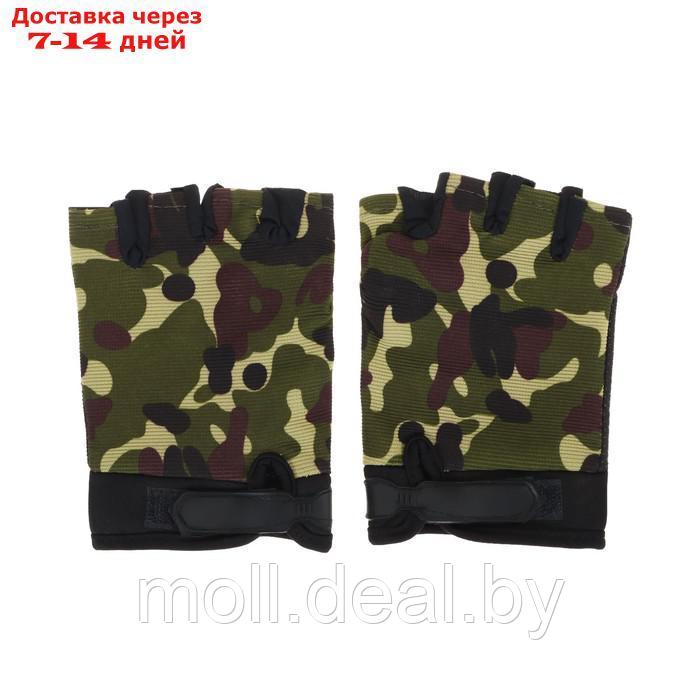 Перчатки "СИБИРСКИЙ СЛЕДОПЫТ", хаки, без пальцев, размер XL - фото 1 - id-p227112621