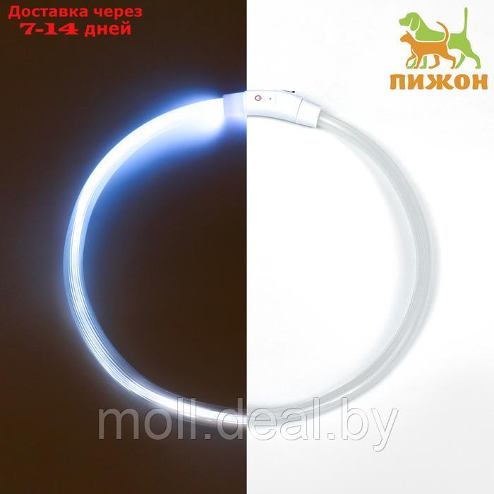 Ошейник - кольцо с подсветкой, зарядка от USB, до 70 см, 3 режима свечения, мультицвет - фото 1 - id-p226888396