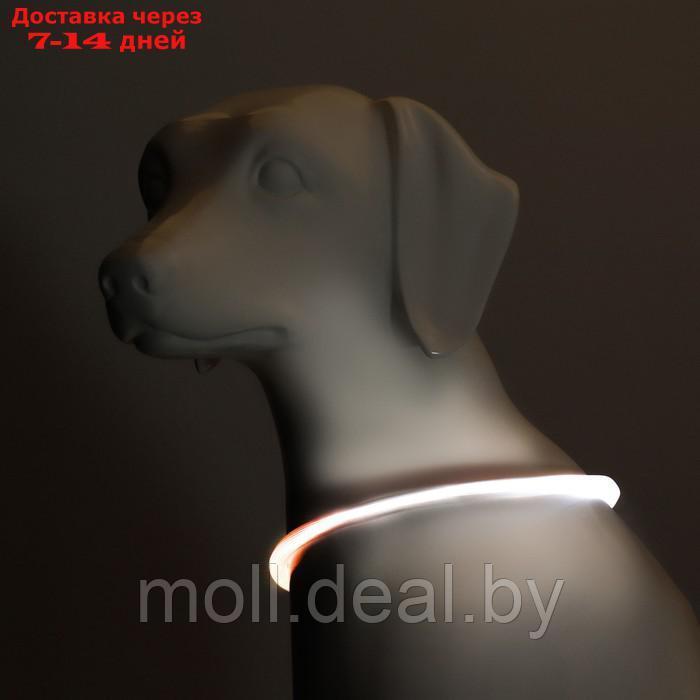Ошейник - кольцо с подсветкой, зарядка от USB, до 70 см, 3 режима свечения, мультицвет - фото 3 - id-p226888396
