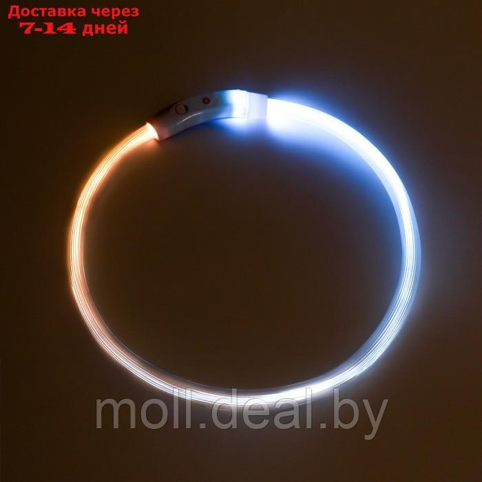 Ошейник - кольцо с подсветкой, зарядка от USB, до 70 см, 3 режима свечения, мультицвет - фото 5 - id-p226888396