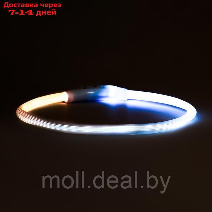 Ошейник - кольцо с подсветкой, зарядка от USB, до 70 см, 3 режима свечения, мультицвет - фото 6 - id-p226888396