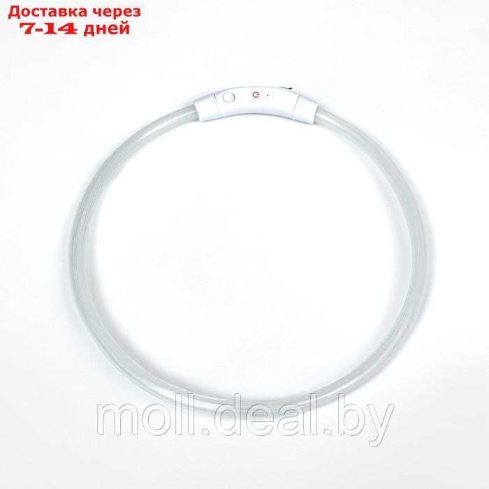 Ошейник - кольцо с подсветкой, зарядка от USB, до 70 см, 3 режима свечения, мультицвет - фото 7 - id-p226888396