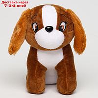Мягкая игрушка "Собака", 19 см, цвет тёмно-коричневый