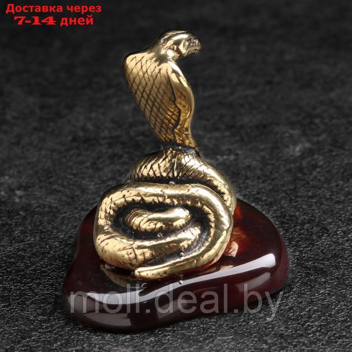 Сувенир "Змея Кобра с капюшоном", латунь, янтарь - фото 2 - id-p227080679