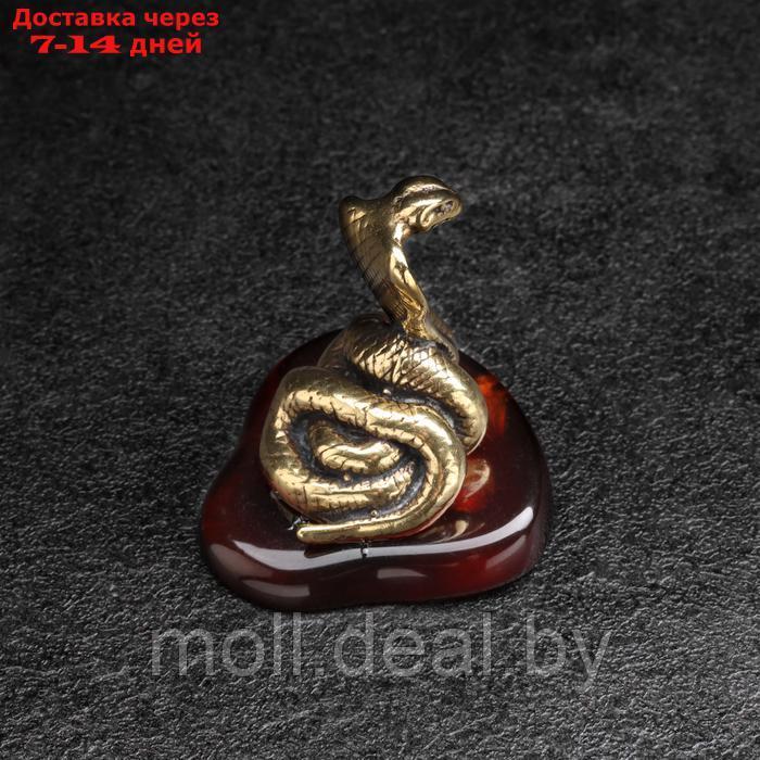 Сувенир "Змея Кобра с капюшоном", латунь, янтарь - фото 4 - id-p227080679