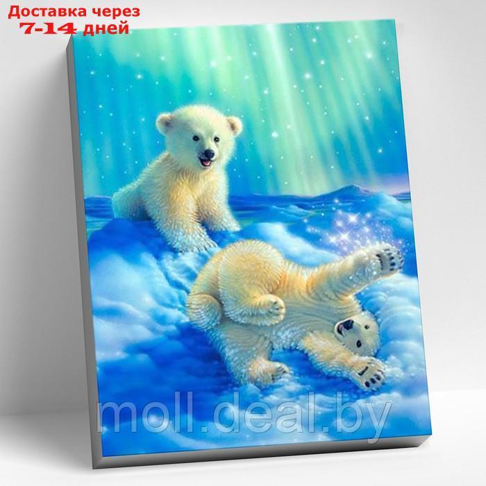 Картина по номерам, 40 × 50 см "Белые медвежата" 25 цветов - фото 1 - id-p227102382