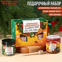 Подарочный набор "Крепкого иммунитета": алтайский мёд с пыльцой 240 г., ягодно-травяной чай 50 г., ложка для
