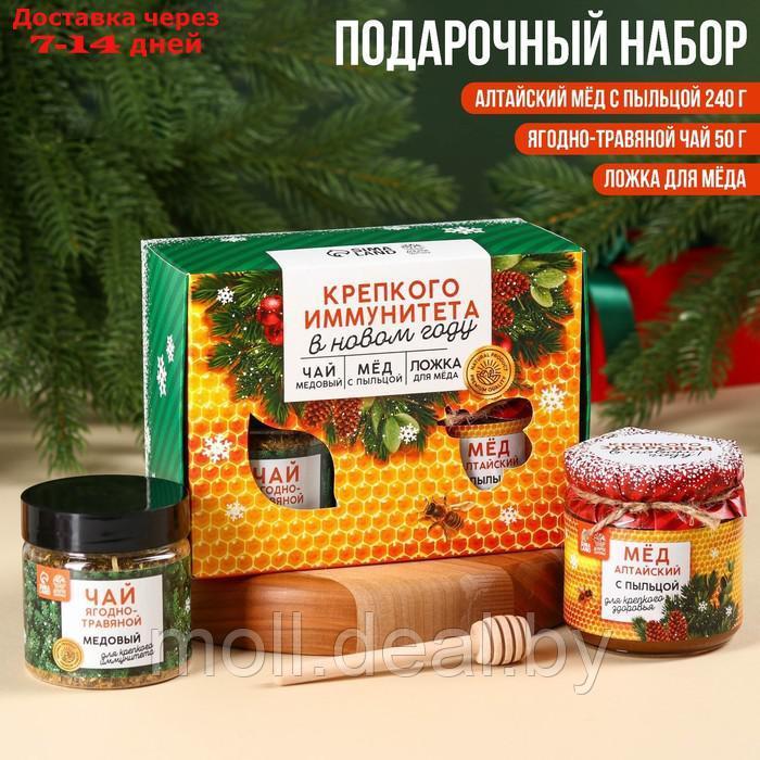 Подарочный набор "Крепкого иммунитета": алтайский мёд с пыльцой 240 г., ягодно-травяной чай 50 г., ложка для - фото 1 - id-p227095206