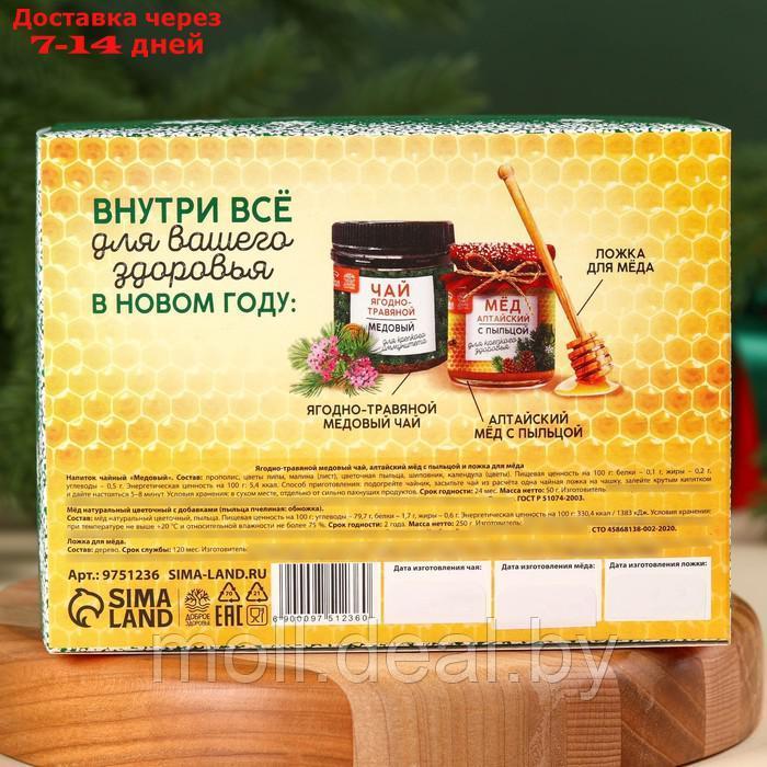 Подарочный набор "Крепкого иммунитета": алтайский мёд с пыльцой 240 г., ягодно-травяной чай 50 г., ложка для - фото 6 - id-p227095206