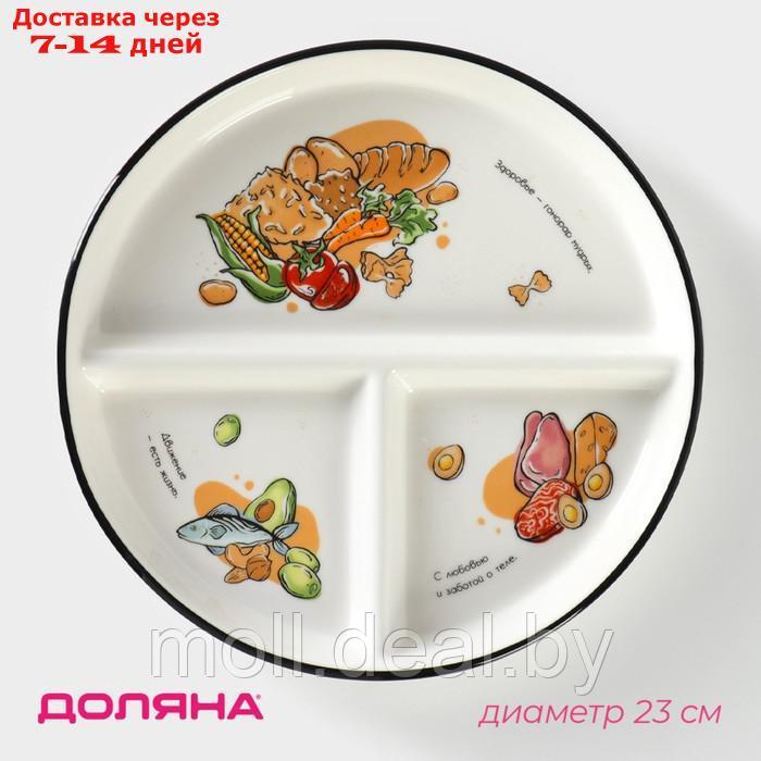 Тарелка фарфоровая для правильного питания Доляна, d=23 см - фото 1 - id-p227076736