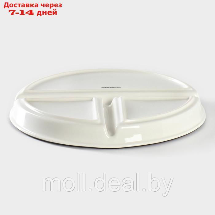Тарелка фарфоровая для правильного питания Доляна, d=23 см - фото 5 - id-p227076736