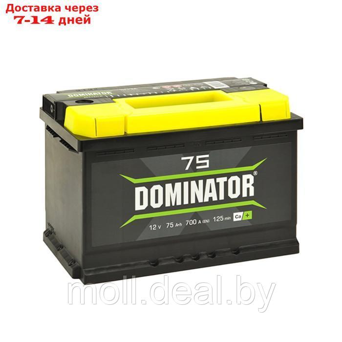 Аккумулятор Dominator 75 А/ч, 750 А, 277х175х190, обратная полярность