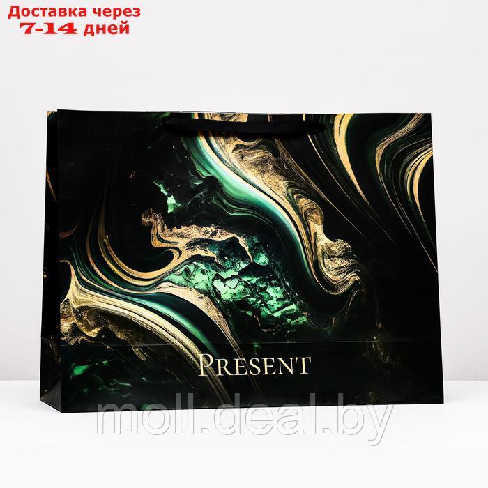 Пакет ламинированный горизонтальный "Present", XXL  61 х 46 х 20 см
