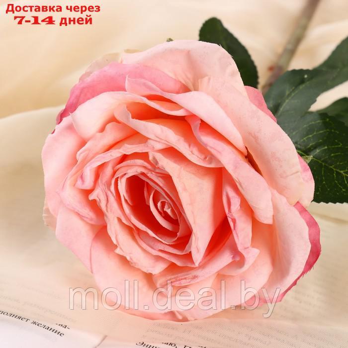 Цветы искусственные "Роза эстетик" 10х49 см, розовый - фото 2 - id-p227116812