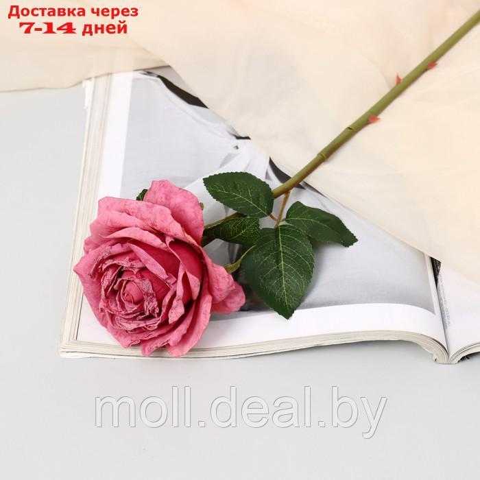 Цветы искусственные "Роза эстетик" 10х49 см, пепельно-розовый - фото 1 - id-p227116813