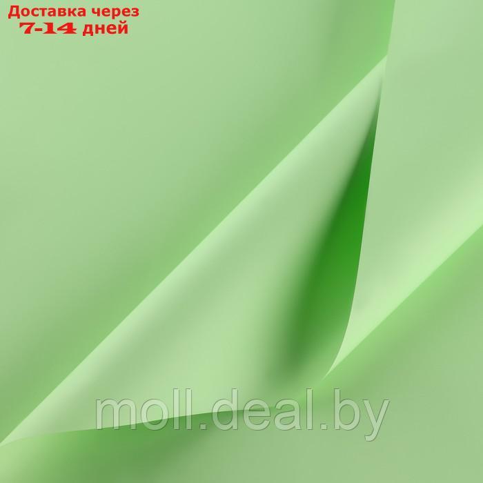 Плёнка для цветов упаковочная матовая "Свежая мята", 0.5 x 8 м - фото 1 - id-p226885561