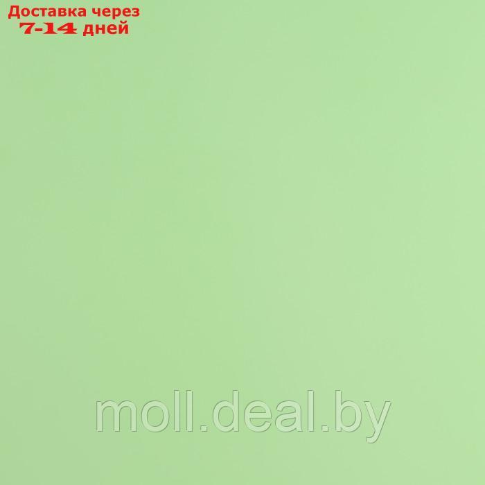 Плёнка для цветов упаковочная матовая "Свежая мята", 0.5 x 8 м - фото 2 - id-p226885561