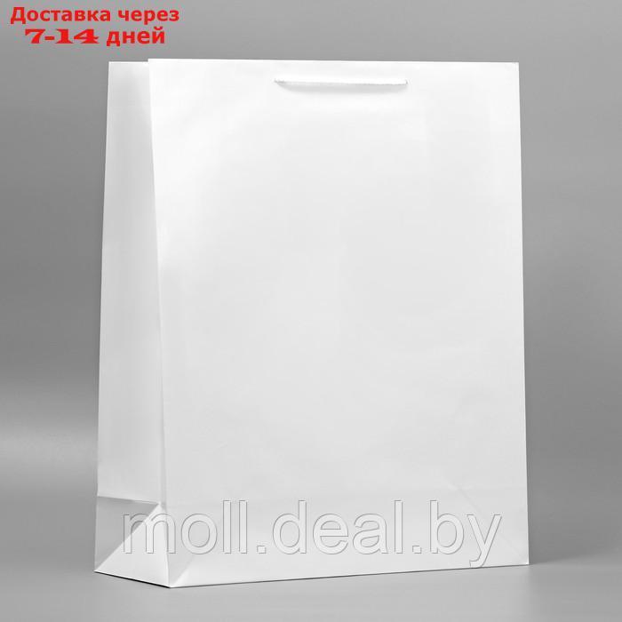 Пакет подарочный ламинированный, упаковка, "Белый", 40 х 49 х 15 см
