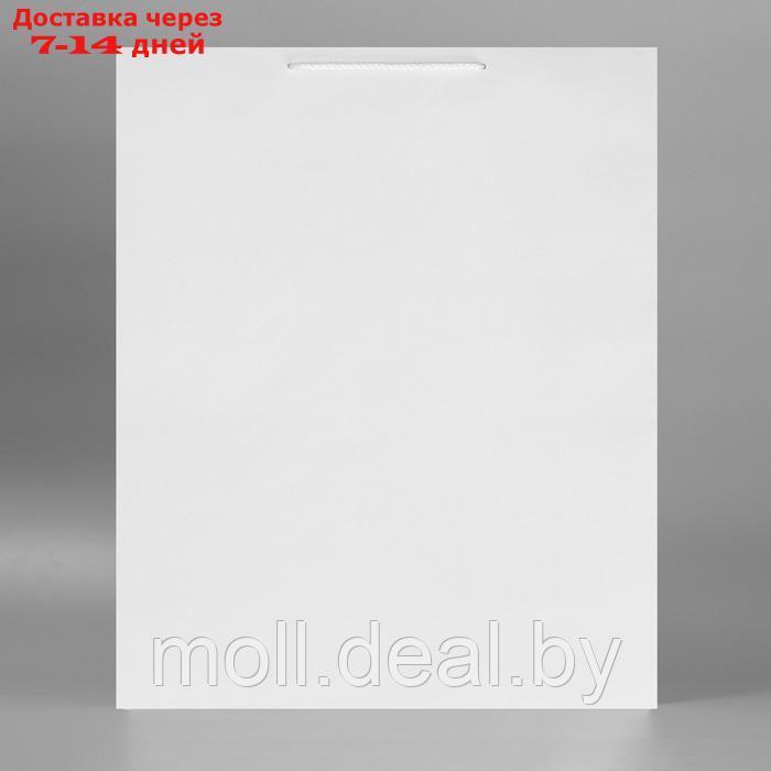 Пакет подарочный ламинированный, упаковка, "Белый", 40 х 49 х 15 см - фото 2 - id-p226885562