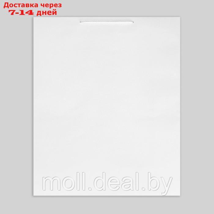 Пакет подарочный ламинированный, упаковка, "Белый", 40 х 49 х 15 см - фото 6 - id-p226885562