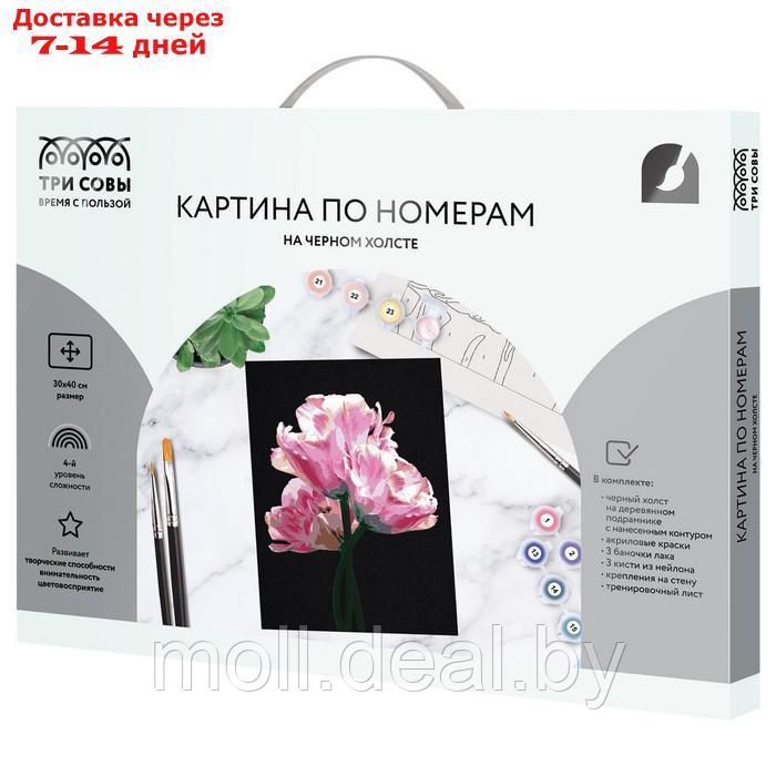 Картина по номерам на черном холсте "Розовые цветы", 30 × 40 см - фото 2 - id-p226888450