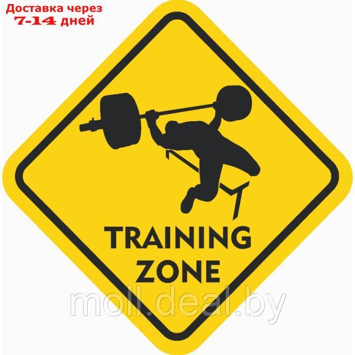 Знак декоративный (постер) "Training zone" 32х32 см, пластик - фото 1 - id-p227100183