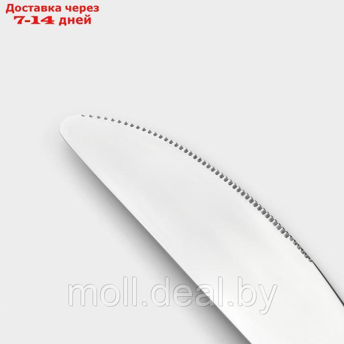 Набор ножей столовых из нержавеющей стали Magistro "Джентри", длина 22,5 см, 6 шт - фото 3 - id-p227076758