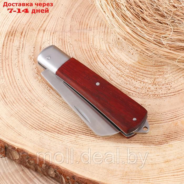Нож складной "Бритва" 19,5см, клинок 82мм/2,5мм, рукоять дерево - фото 3 - id-p227075780