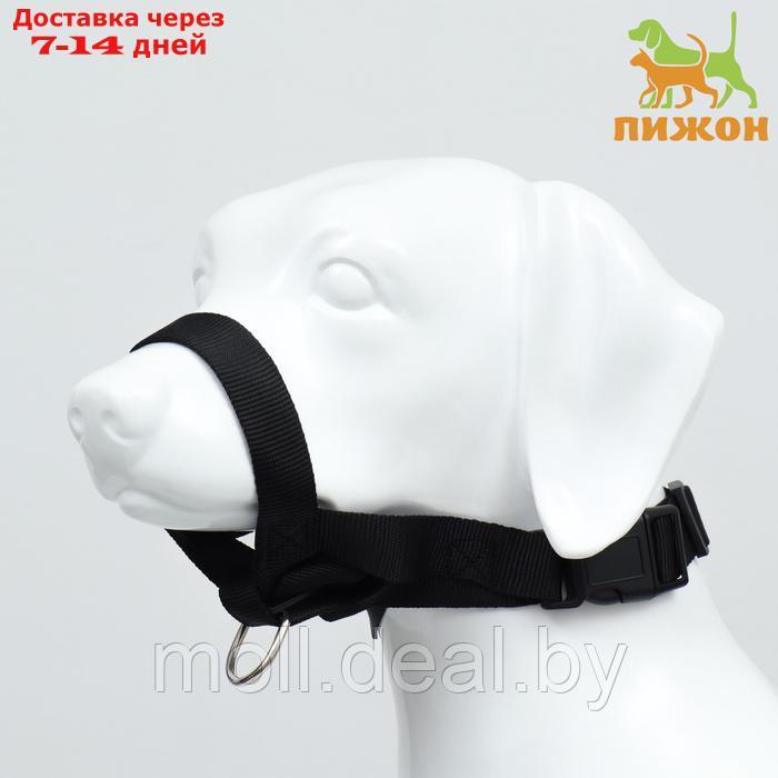 Недоуздок для собак строгий, размер XXL, черный - фото 1 - id-p227090693