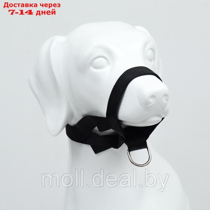 Недоуздок для собак строгий, размер XXL, черный - фото 2 - id-p227090693