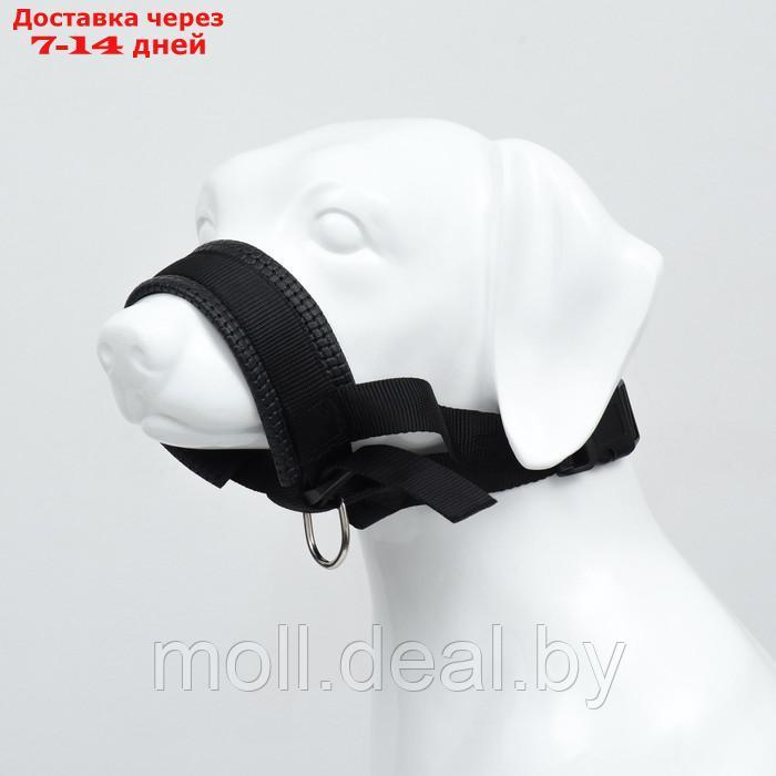 Недоуздок для собак с мягким подкладом, размер XXL, черный - фото 2 - id-p227090694