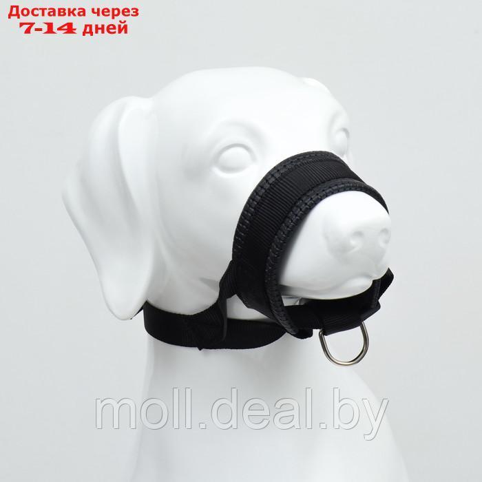 Недоуздок для собак с мягким подкладом, размер XXL, черный - фото 3 - id-p227090694