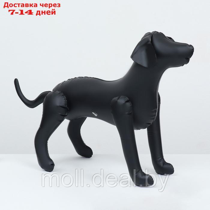 Манекен собаки, надувной, 80 х 56 х 25 см, черный - фото 1 - id-p227090696